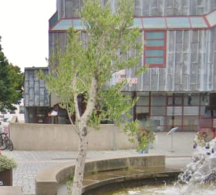 Brunnen und Diözesanmuseum