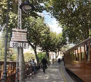 Soller