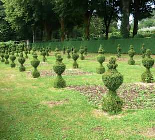 Wunderschön geschnittene Figuren im Garten.