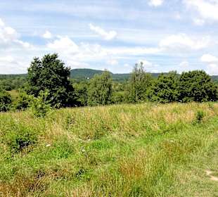 Impressionen aus dem Naturschutzgebiet