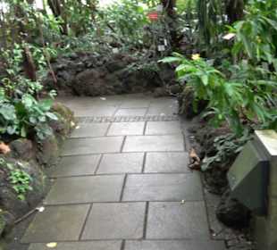 Tropicarium