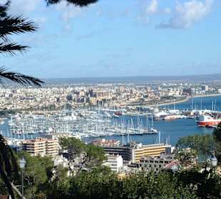 Blick nach Palma von Bellver