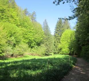 Auf dem Weg zur Queichquelle