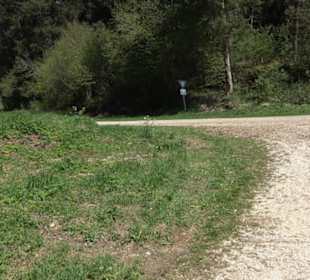 Premiumwanderweg Hochgehschätzt