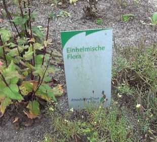 Botanischer Garten