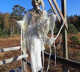 Naturpark Heidenreichsteiner Moor