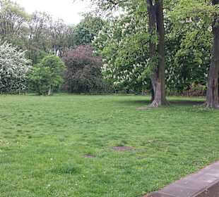 Park