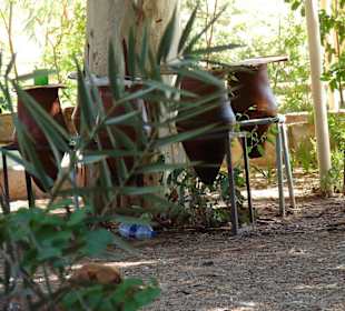 Każdy jest spragniony