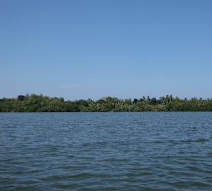 Der Madu Ganga