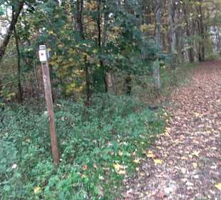 Wandern um die Rauber Ruine