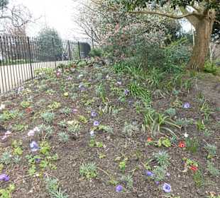 Hyde Park w Londynie