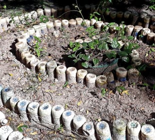 Mnarani Marine Schildkröten Conservation