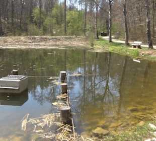 Spazierweg Ritter Museum