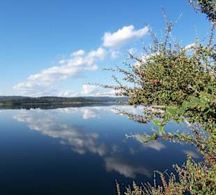 Stausee im Cardinia Park