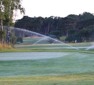 Die Sprenger laufen am frühen Morgen
