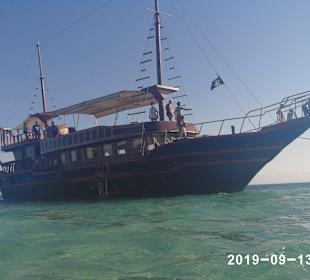 Delfin Tour Hurghada