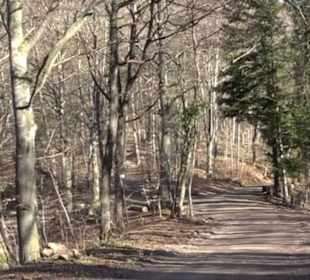 Wandertour Eppenzill