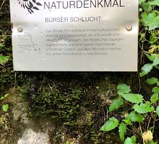 Bürserschlucht
