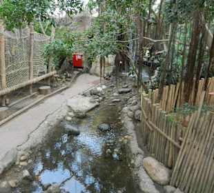 Jungle Dome