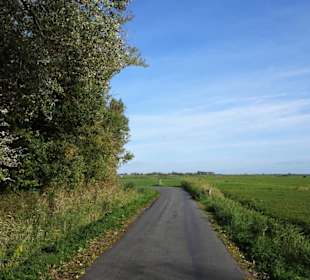 Impressionen von der Weserinsel Harriersand