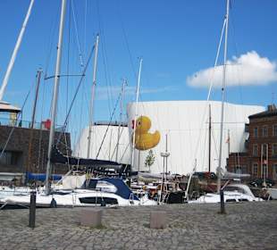 Auf dem Weg zum Ozeaneum