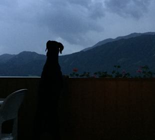 Wandern Berg im Drautal