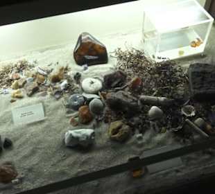 Mineralogisches Museum