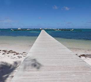 Steg zu den Delfinen