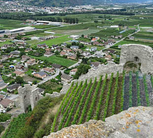 Blick vom Turm auf die Landschaft