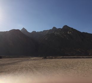 Safari, toller Ausflug