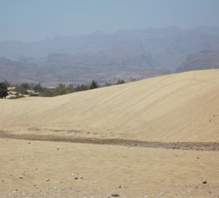 Ein Muss: Die Dünen!