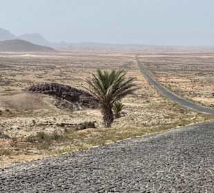 Boa Vista