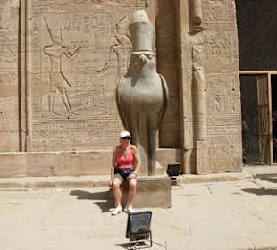 Der Falke von König Horus