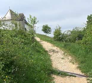 Berg Kornbühl Salmendingen