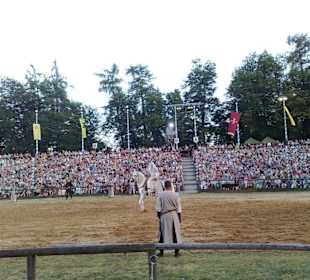 Kaltenberger Ritterturnier 2010