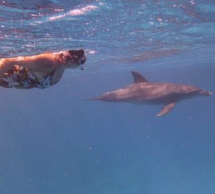 Unbeschreiblich schön