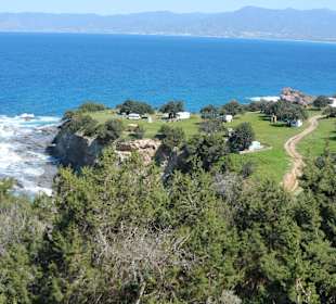 Półwysep Akamas - pole campingowe