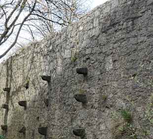 Spaziergang entlang der Bad Neustädter Stadtmauer