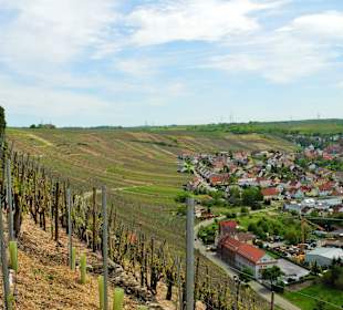 Käsberg mit Teil von Mundelsheim