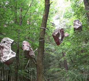 Dinosaurier Museum Altmühltal