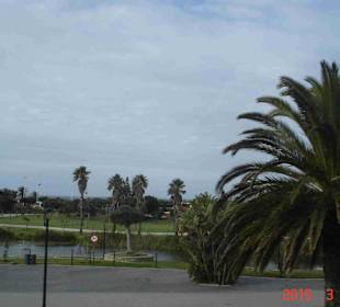 Port Elizabeth