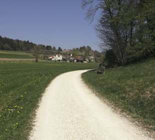 Waldlehrpfad an der Lauter