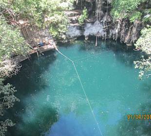 Fische, Schwalben ..