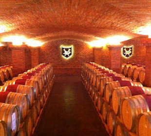 Rotweinkeller Weingut La Motte