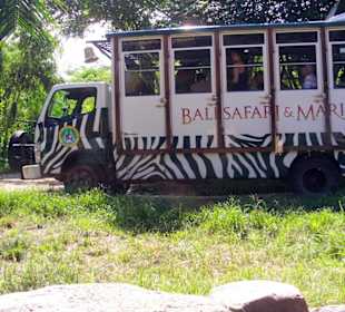 Safari-Park