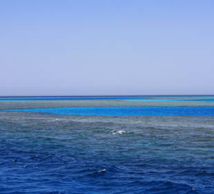 Wunderschöner Ausblick vom Boot aus