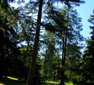 Exotische Gartenbereich