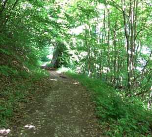 Premiumwanderweg "hochgelegen"
