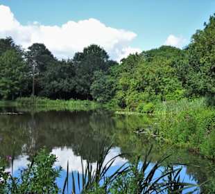 Eindrücke aus dem Stadtpark von Groningen