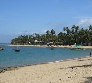 Traumstrand in Praia do Forte